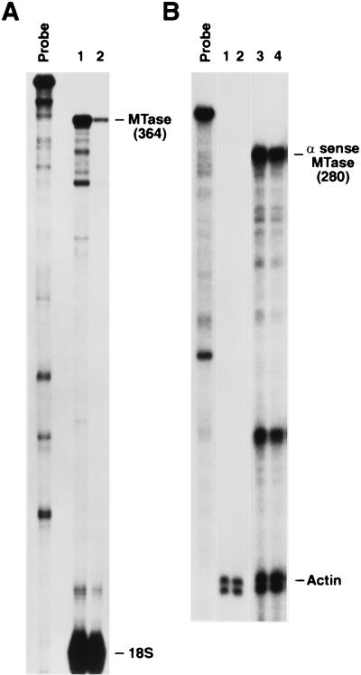 FIG. 8