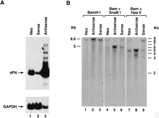 FIG. 9