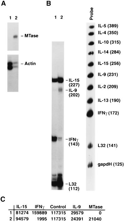 FIG. 7