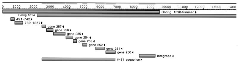 FIG. 2.