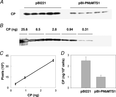 FIG. 6.