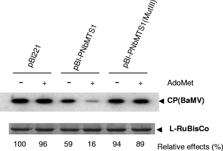 FIG. 10.