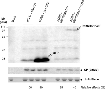 FIG. 8.