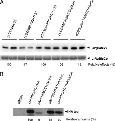 FIG. 9.