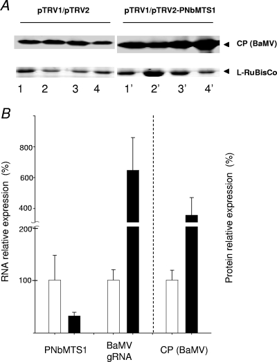 FIG. 12.