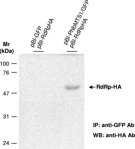 FIG. 7.