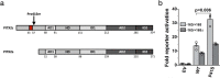 Extended Data Fig. 8
