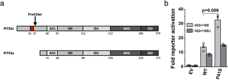 Extended Data Fig. 8