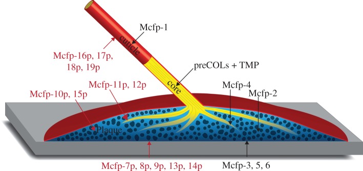 Figure 7.