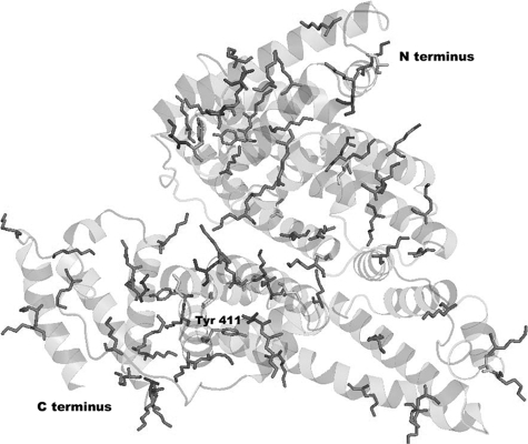 FIGURE 4.