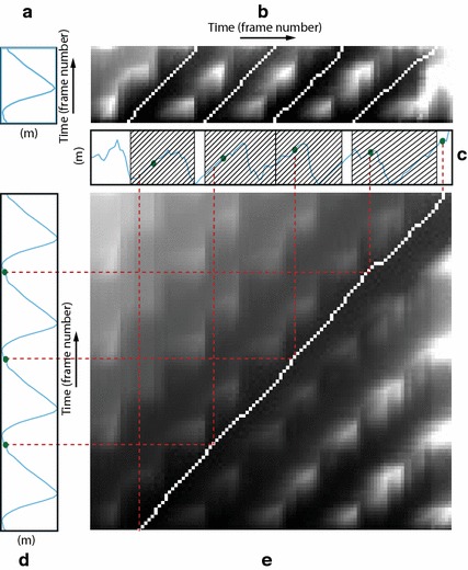 Fig. 10