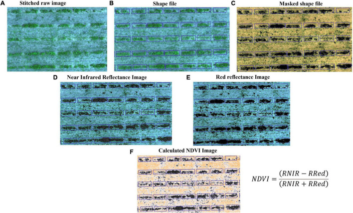 FIGURE 2