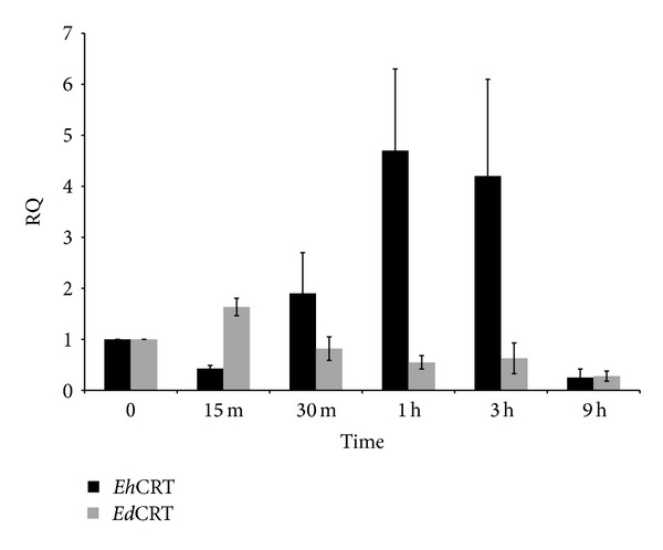 Figure 9