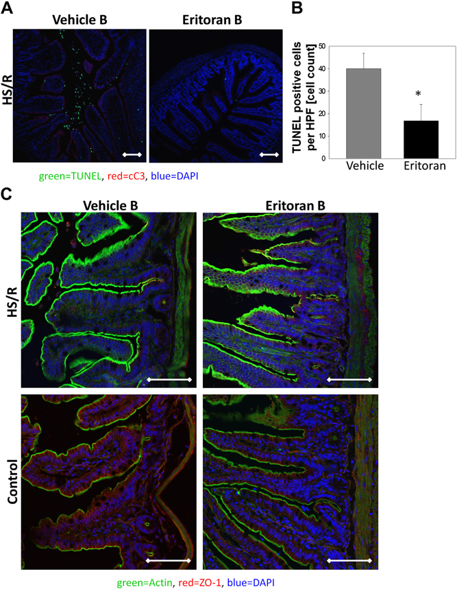 Fig. 4 –