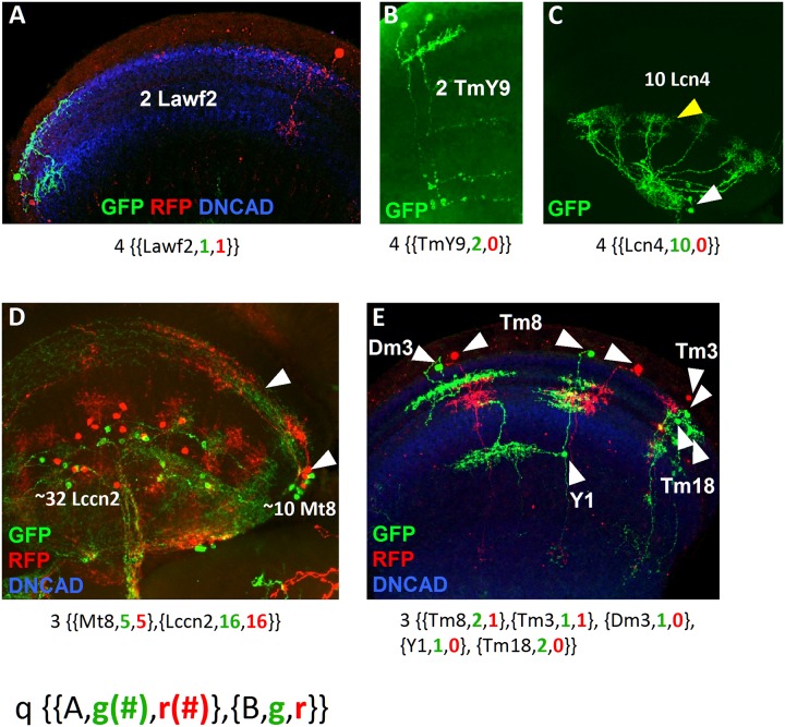 Fig 3