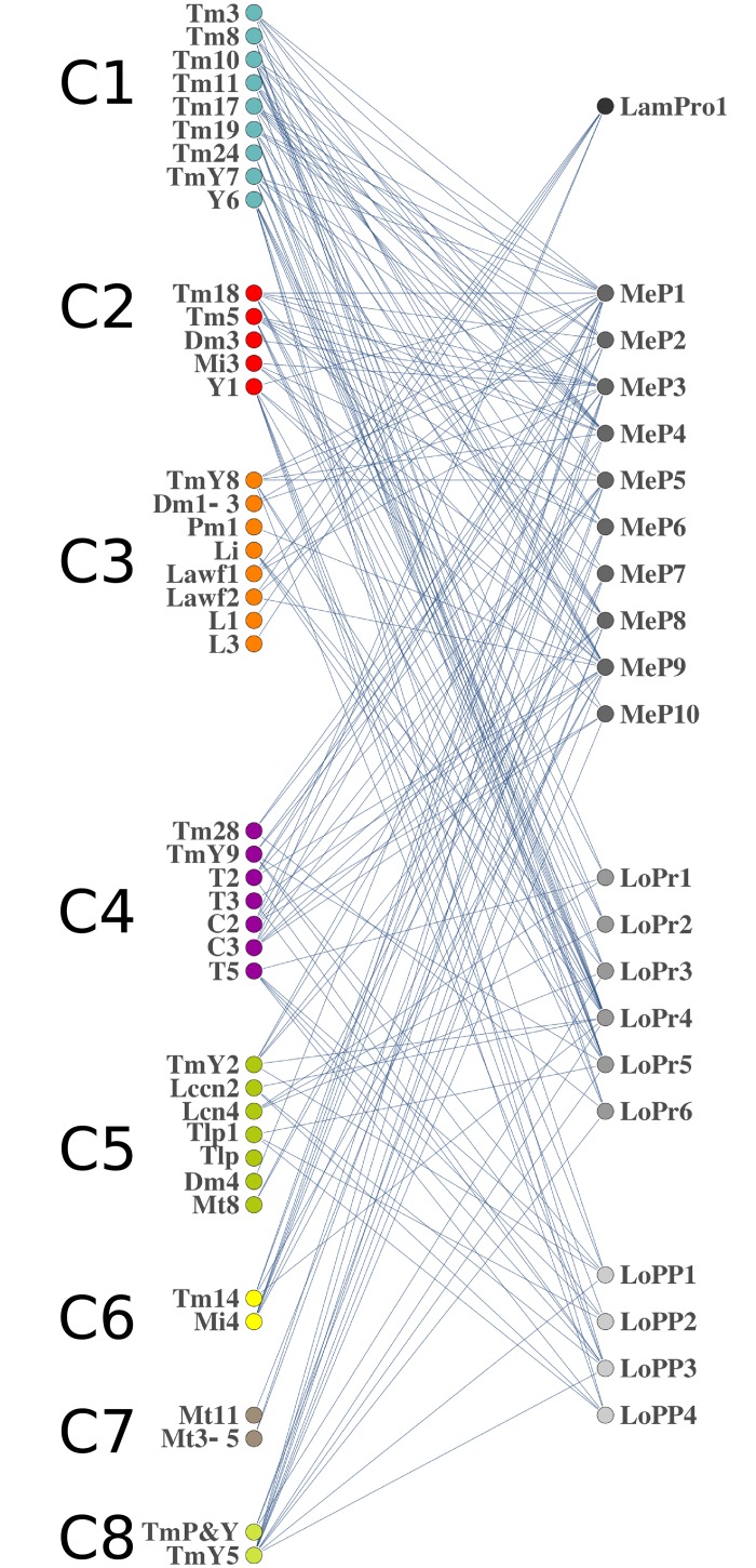 Fig 7