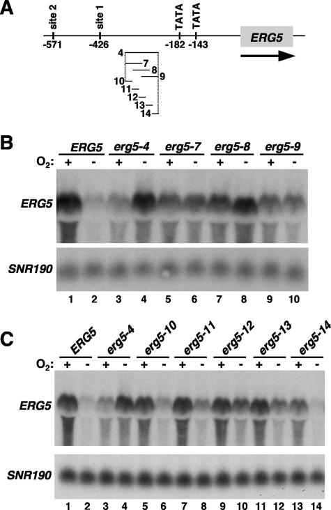 FIG. 7.