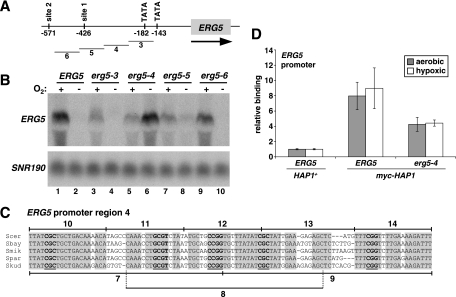 FIG. 6.