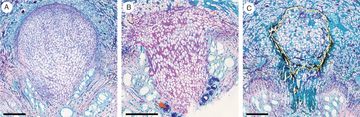 Fig. 3.