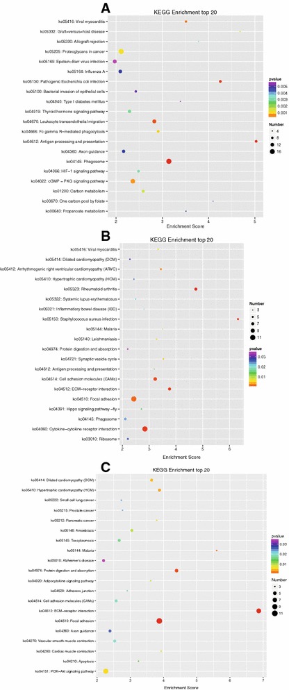 Figure 3