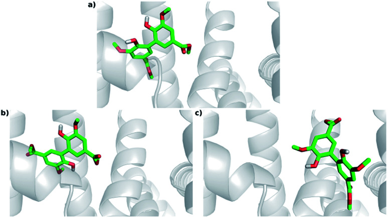 Fig. 8