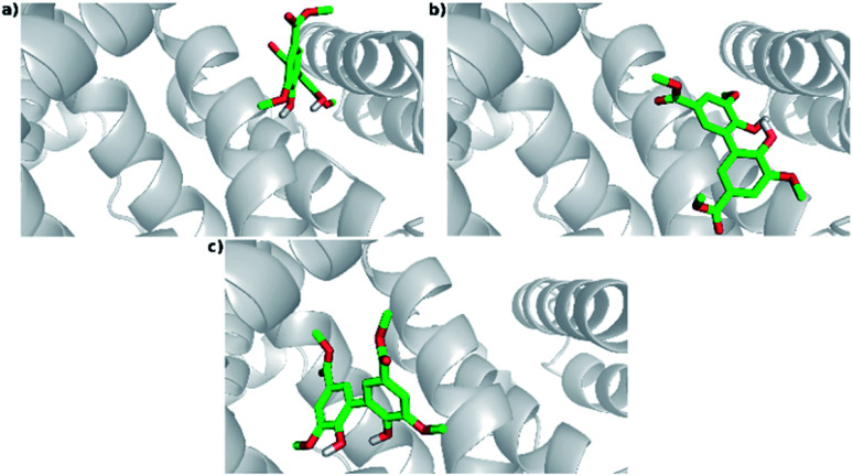 Fig. 10