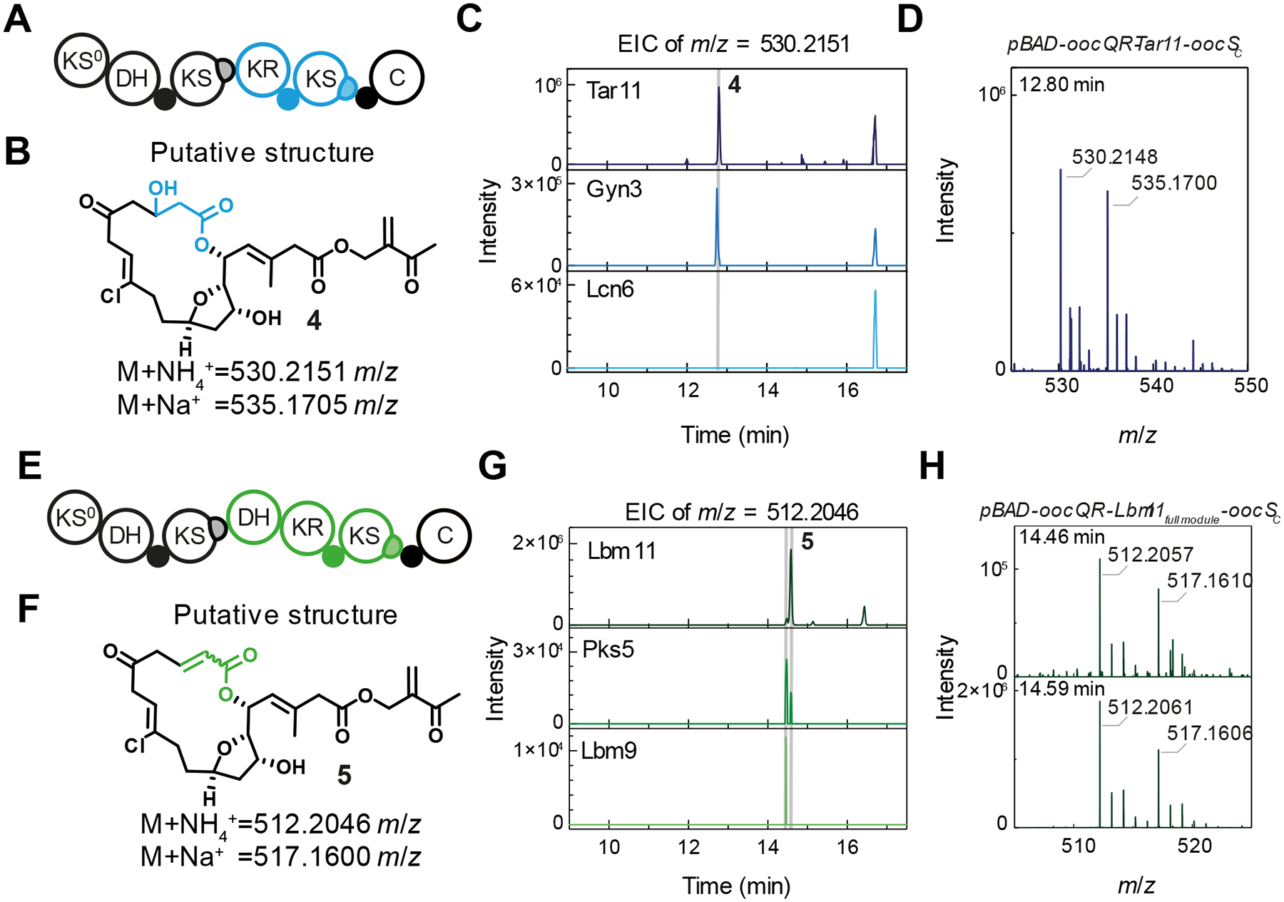 Figure 4