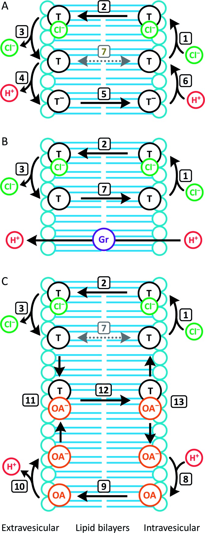 Fig. 6