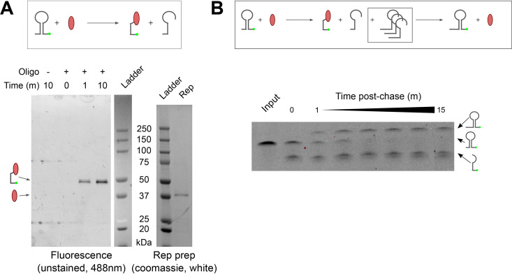 FIG 6