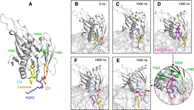 Figure 6