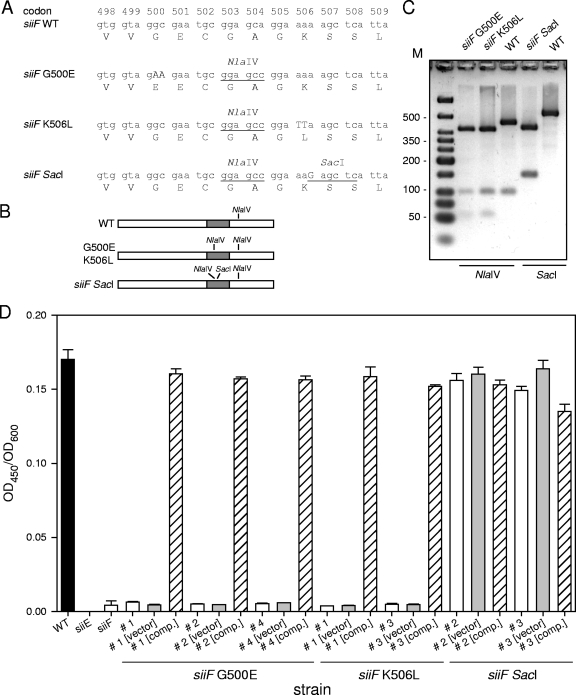 FIG. 3.