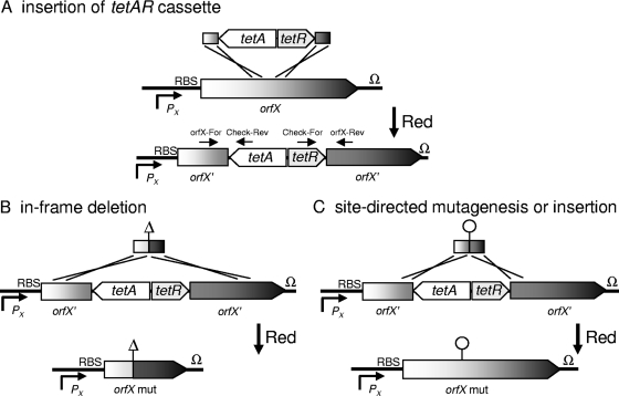 FIG. 1.