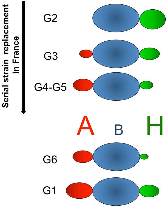 Figure 10