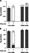 FIG 4