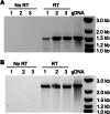 FIG 6