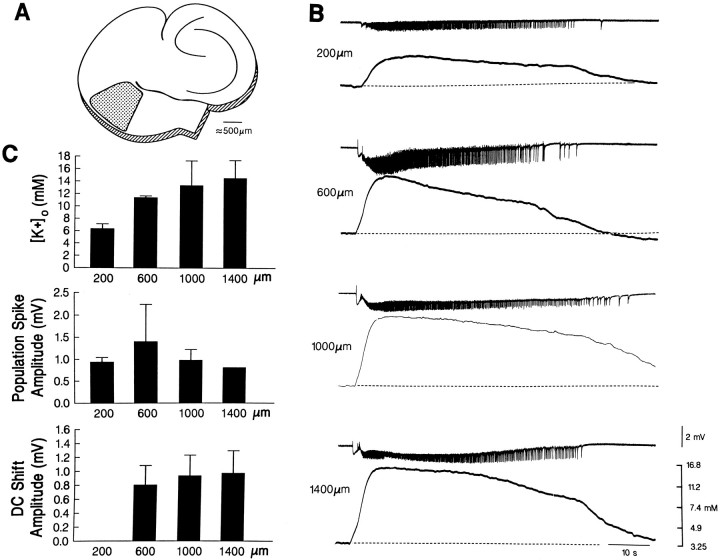 Fig. 8.