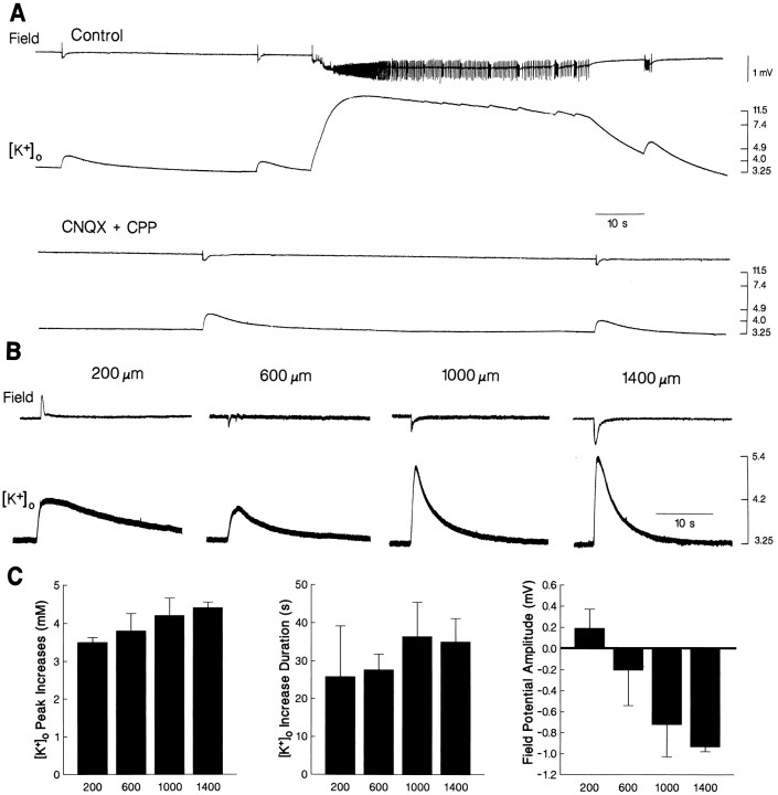 Fig. 9.