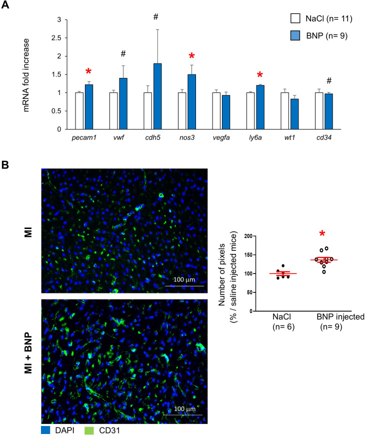 Figure 3—figure supplement 1.