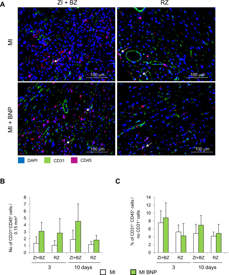 Figure 3—figure supplement 2.