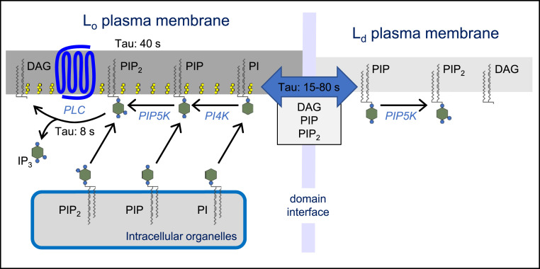 Fig. 7.