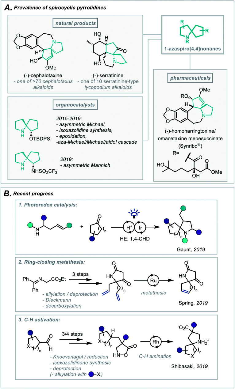 Scheme 1