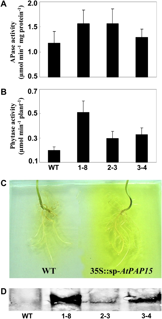 Figure 5.