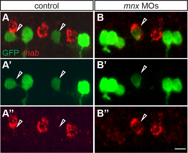 Figure 4