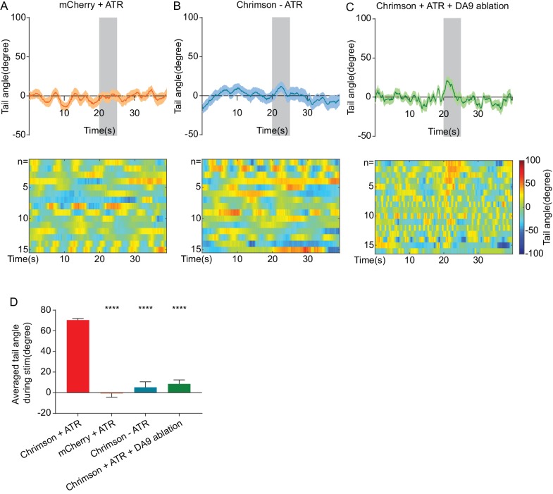 Figure 4—figure supplement 1.