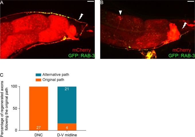 Figure 2—figure supplement 1.