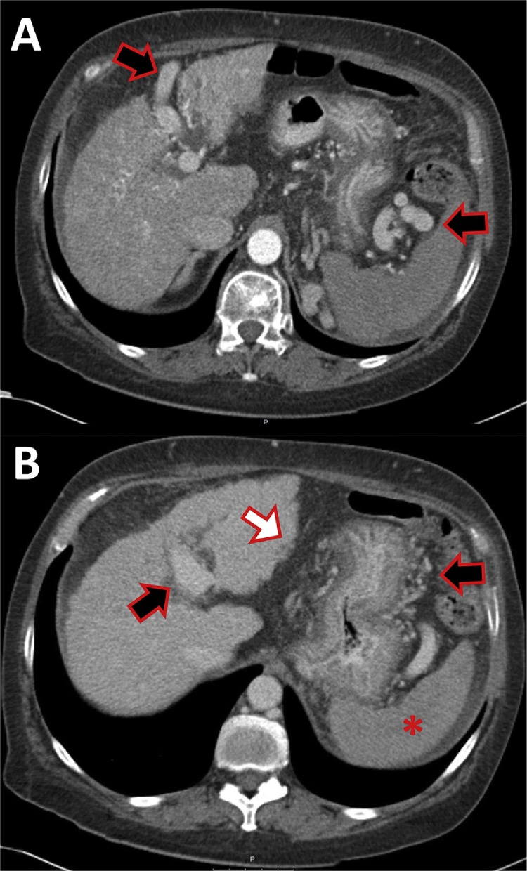 Fig. 7