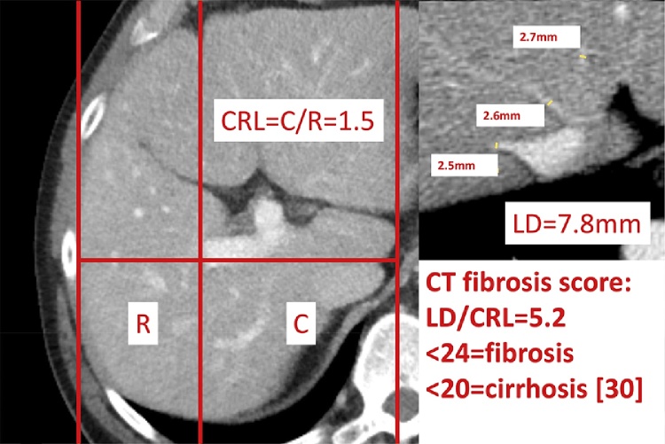 Fig. 6