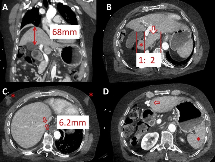 Fig. 5