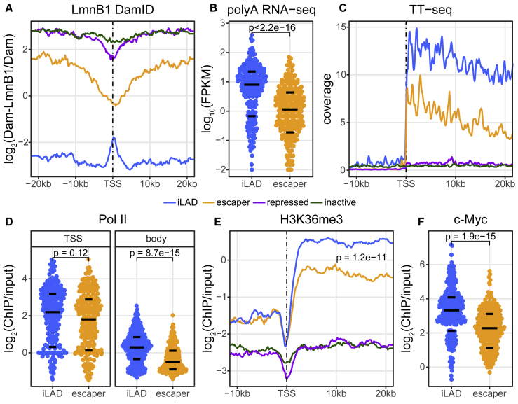 Figure 2