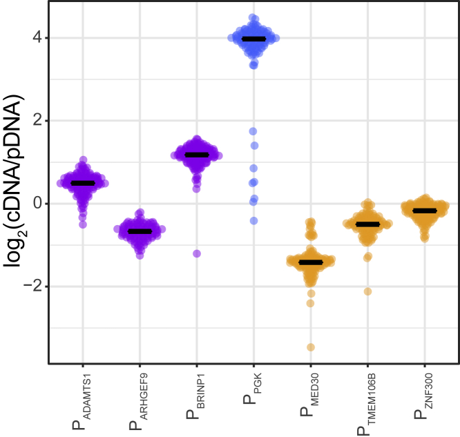 Figure 4